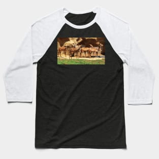 Nyala Antelopes Baseball T-Shirt